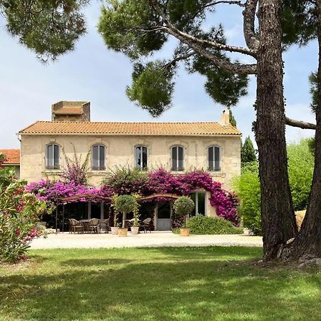 Maison Tara Verte Au Mas Montredon Arles Zewnętrze zdjęcie