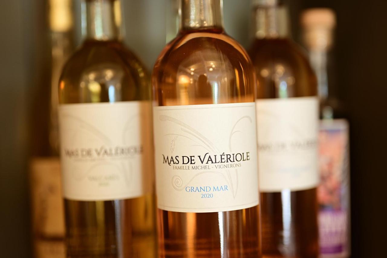 Maison Tara Verte Au Mas Montredon Arles Zewnętrze zdjęcie