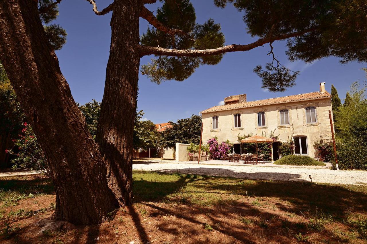 Maison Tara Verte Au Mas Montredon Arles Zewnętrze zdjęcie