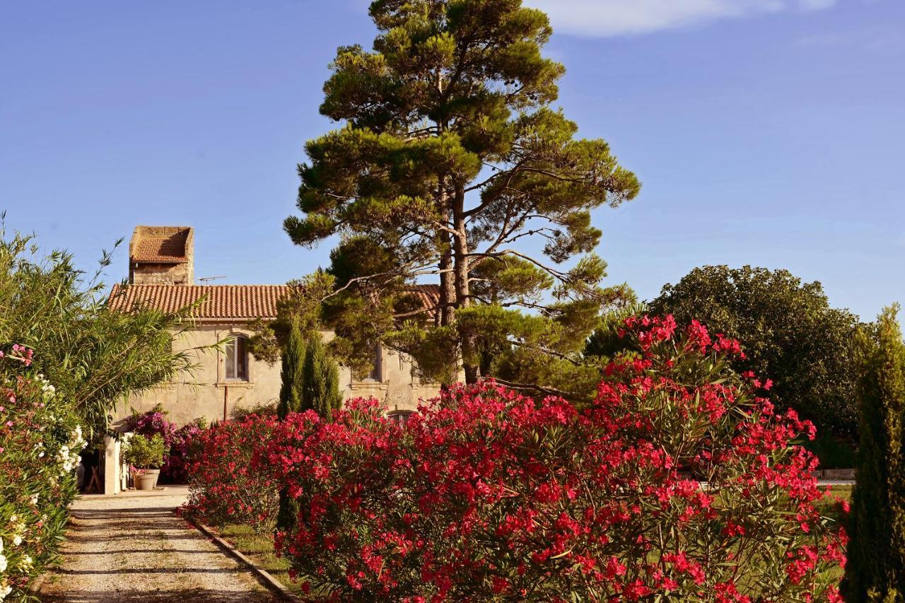 Maison Tara Verte Au Mas Montredon Arles Zewnętrze zdjęcie