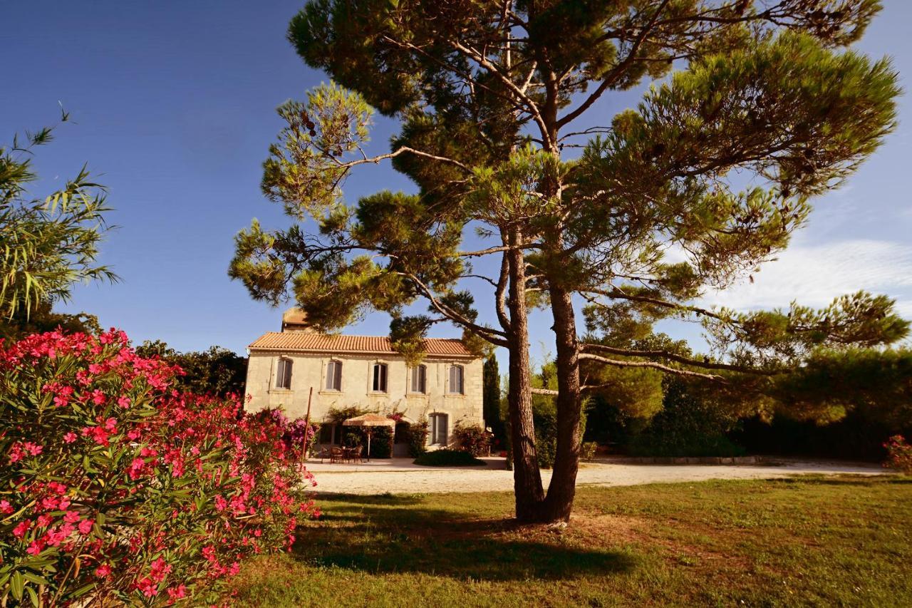 Maison Tara Verte Au Mas Montredon Arles Zewnętrze zdjęcie