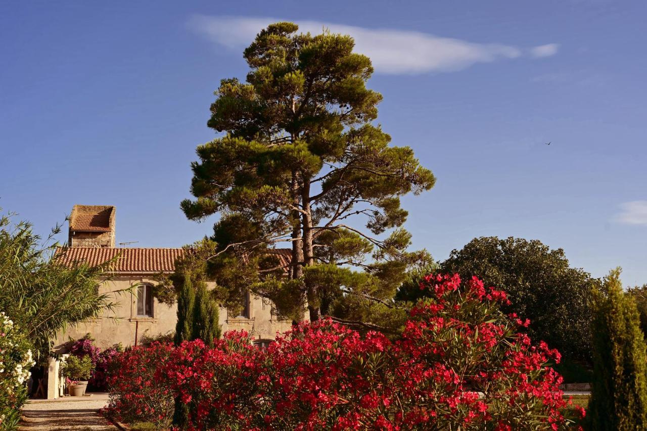Maison Tara Verte Au Mas Montredon Arles Zewnętrze zdjęcie