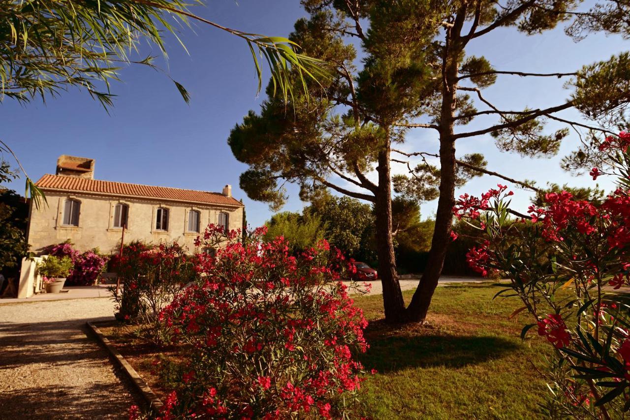 Maison Tara Verte Au Mas Montredon Arles Zewnętrze zdjęcie