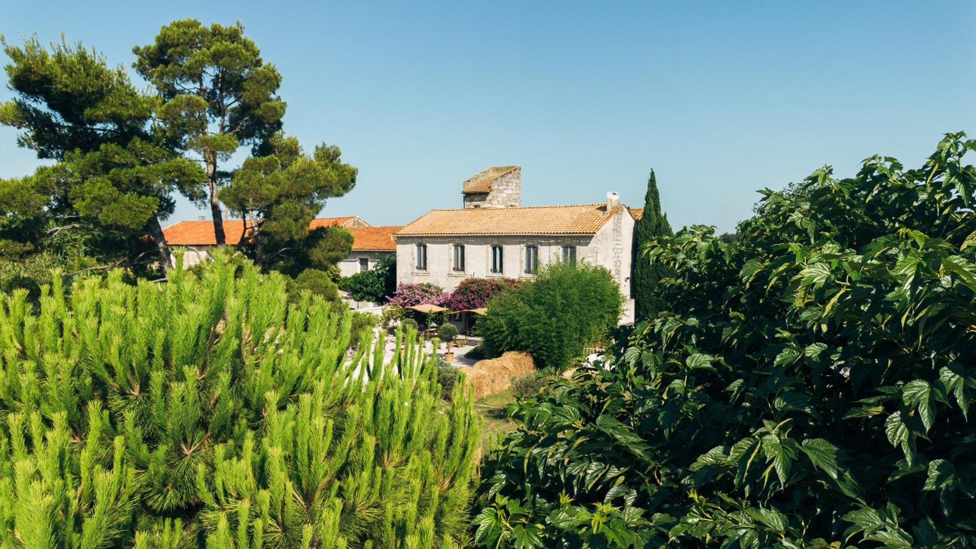 Maison Tara Verte Au Mas Montredon Arles Zewnętrze zdjęcie